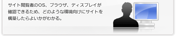 サイト閲覧者のOS、ブラウザ、ディスプレイが確認できるため、どのような環境向けにサイトを構築したらよいかがわかる。